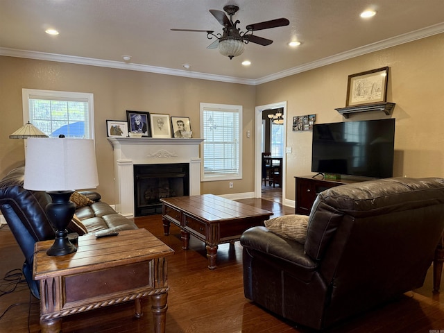 living room with a fireplace, wood finished floors, crown molding, and a healthy amount of sunlight