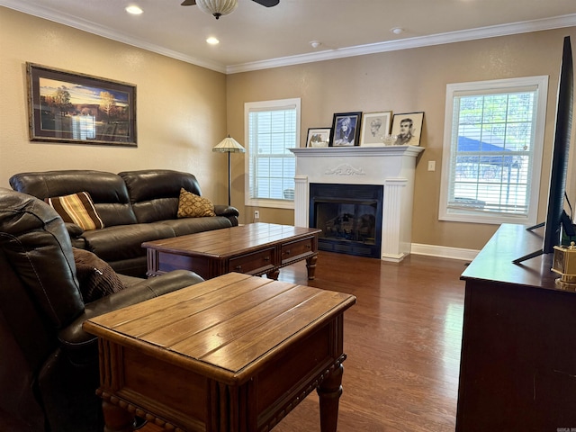 living area with a glass covered fireplace, dark wood-style floors, ornamental molding, and ceiling fan