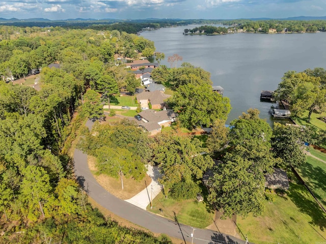 drone / aerial view with a view of trees and a water view