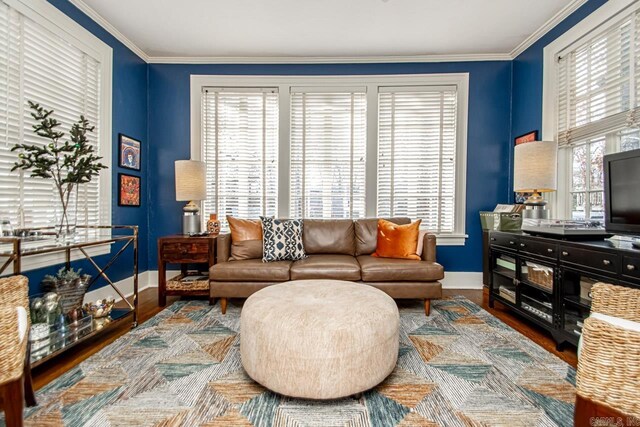 living area featuring crown molding, baseboards, and wood finished floors