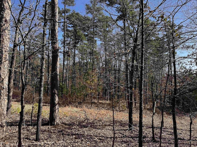 TBD Gardenia Ln, Mena, AR 71953