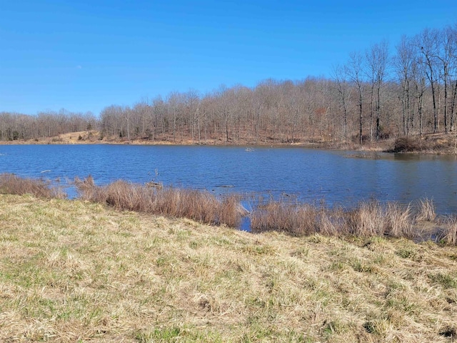 view of water feature with a wooded view