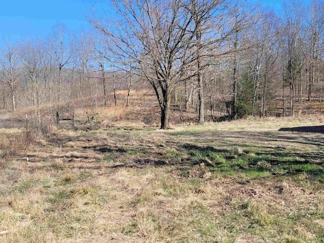 view of landscape with a wooded view