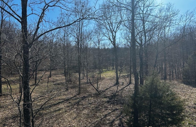 view of landscape featuring a view of trees