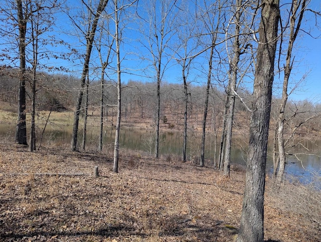 view of landscape