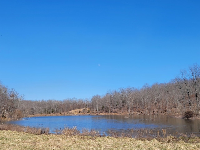 view of water feature featuring a forest view