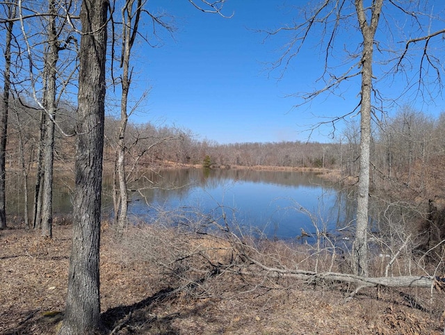 property view of water with a view of trees