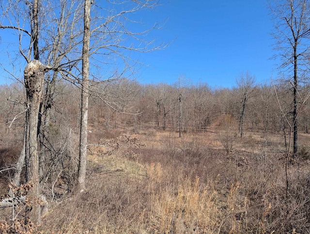 view of nature featuring a wooded view