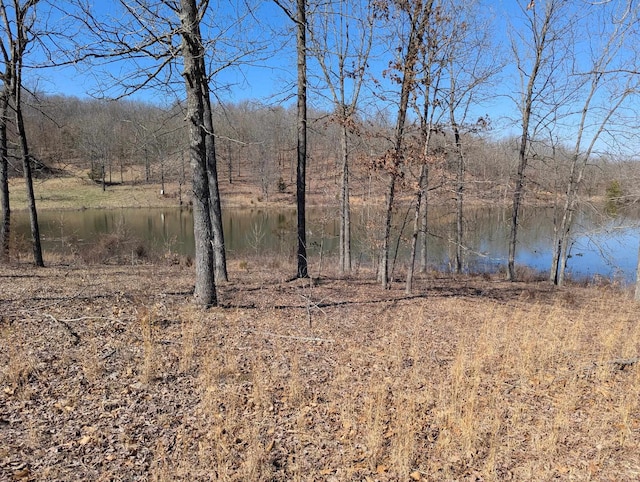 view of local wilderness with a water view