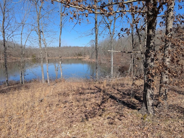 view of water feature featuring a forest view