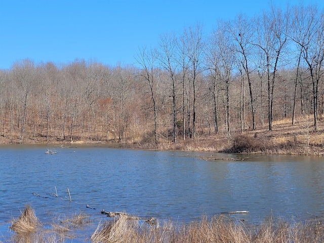 property view of water with a view of trees