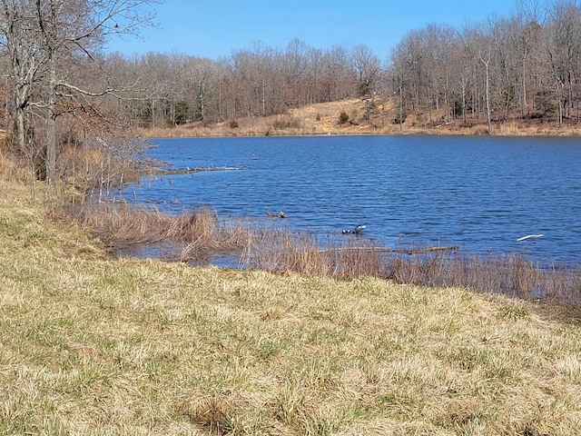 view of water feature with a wooded view