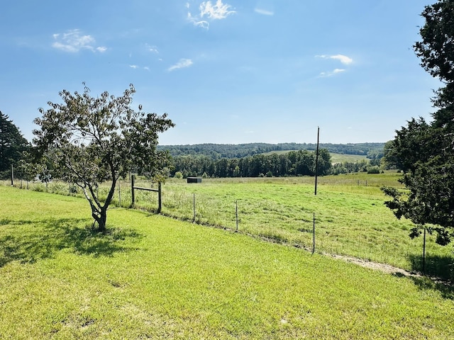 view of yard featuring a rural view