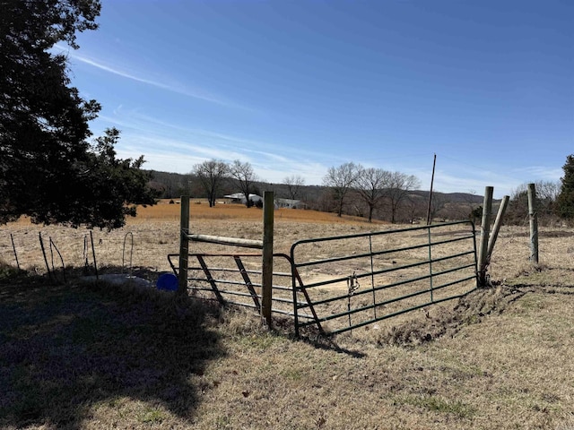 view of yard with a gate, a rural view, and fence