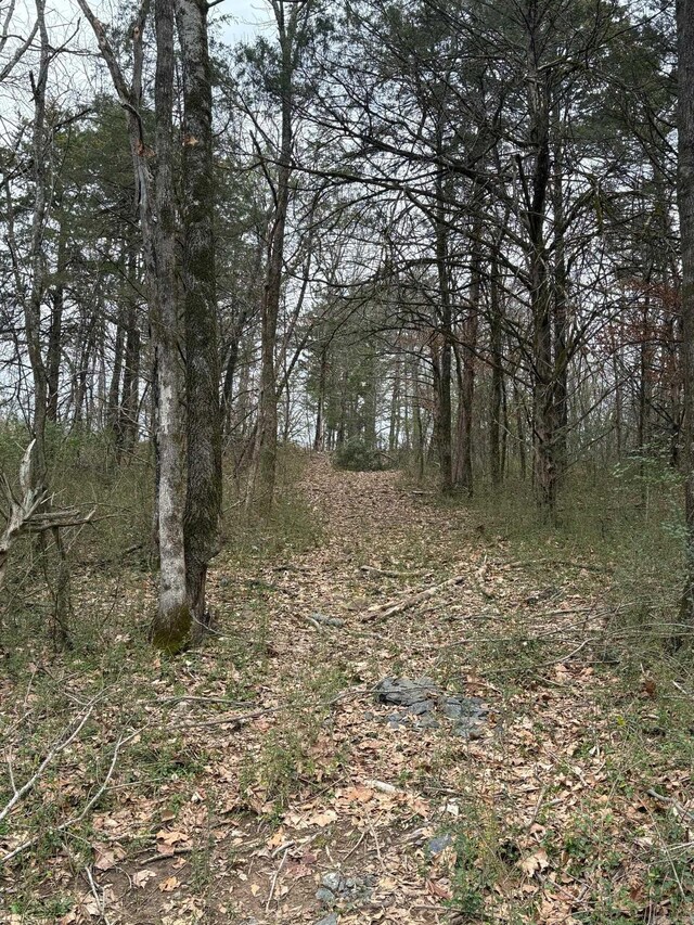 UNK Deer Park Ln, Mena, AR 71953