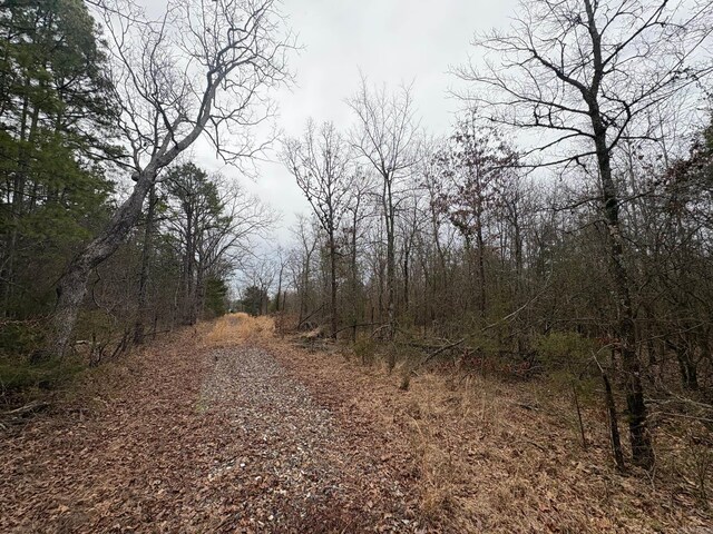 UNK Deer Park Ln, Mena, AR 71953