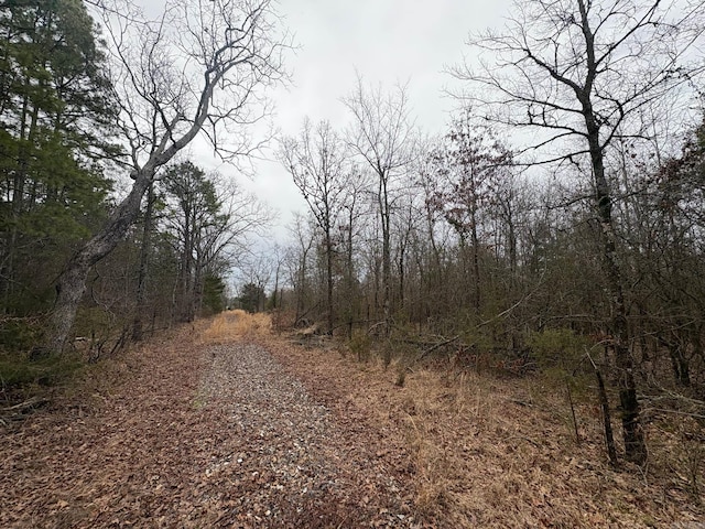 UNK Deer Park Ln, Mena, AR 71953