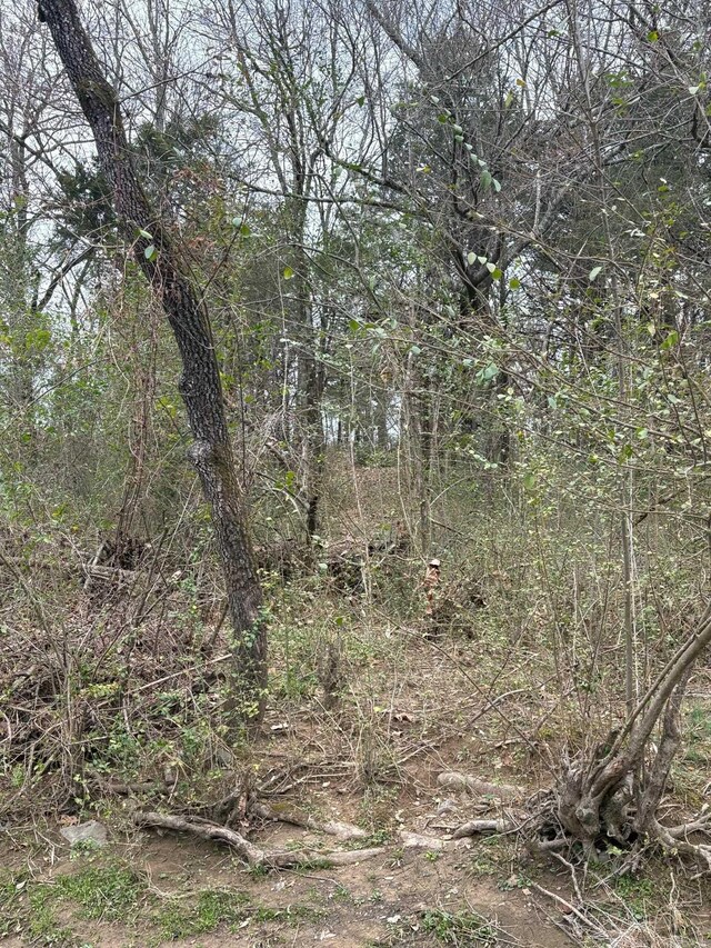 UNK Deer Park Ln, Mena, AR 71953