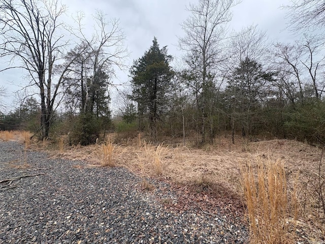 UNK Deer Park Ln, Mena, AR 71953