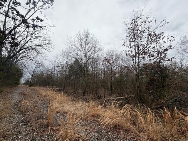 UNK Deer Park Ln, Mena, AR 71953