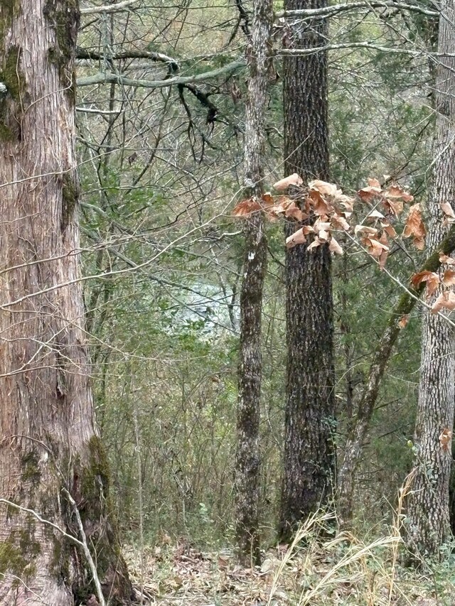 UNK Deer Park Ln, Mena, AR 71953