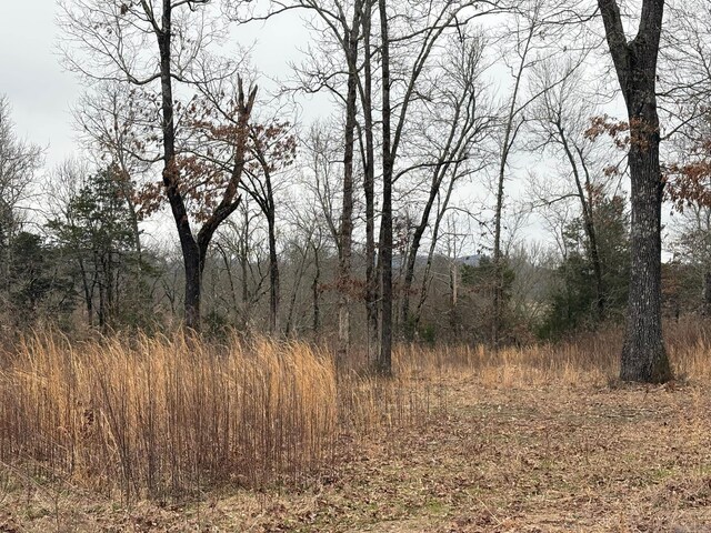 UNK Deer Park Ln, Mena, AR 71953