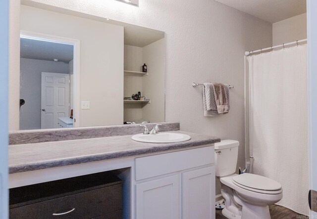 full bathroom with toilet, vanity, and a shower with shower curtain