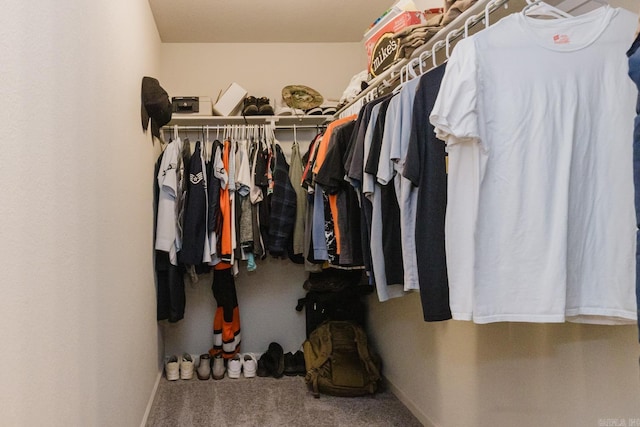 spacious closet with carpet