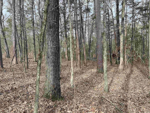 0 Hacienda Rd, Greers Ferry AR, 72067 land for sale