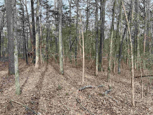 Listing photo 2 for 0 Hacienda Rd, Greers Ferry AR 72067