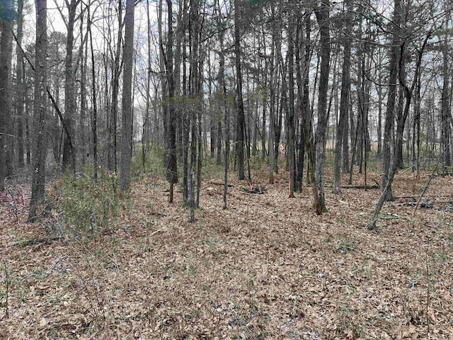 Listing photo 3 for 0 Hacienda Rd, Greers Ferry AR 72067