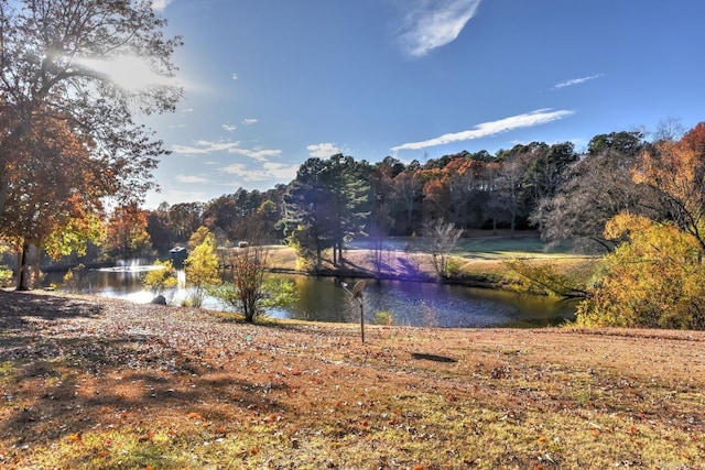 property view of water with a view of trees