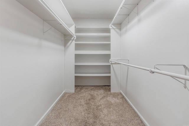 spacious closet with carpet floors