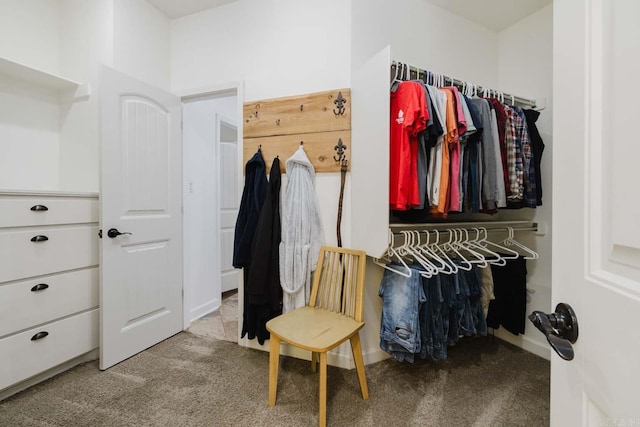 walk in closet with carpet flooring