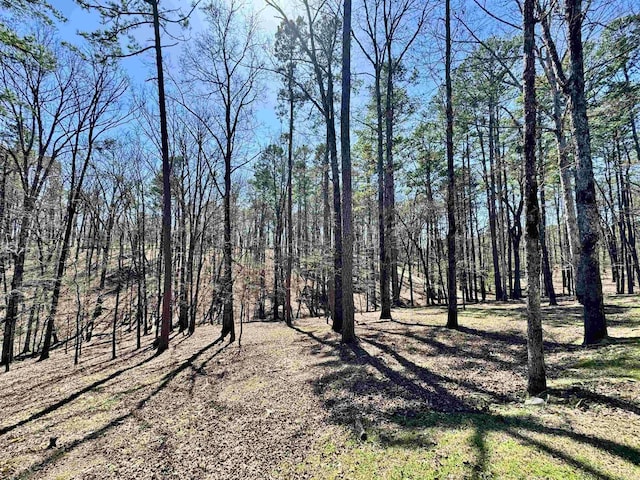 view of landscape with a wooded view