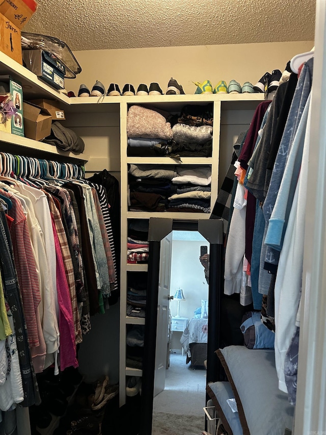 walk in closet with carpet floors