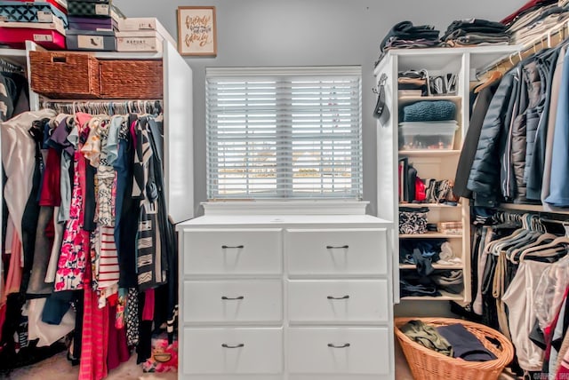 view of spacious closet