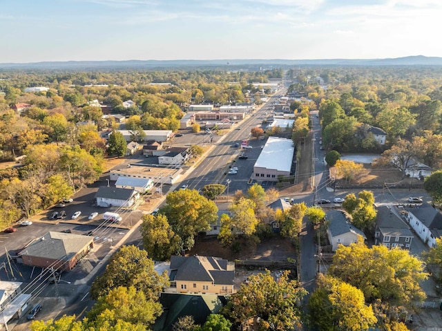 bird's eye view