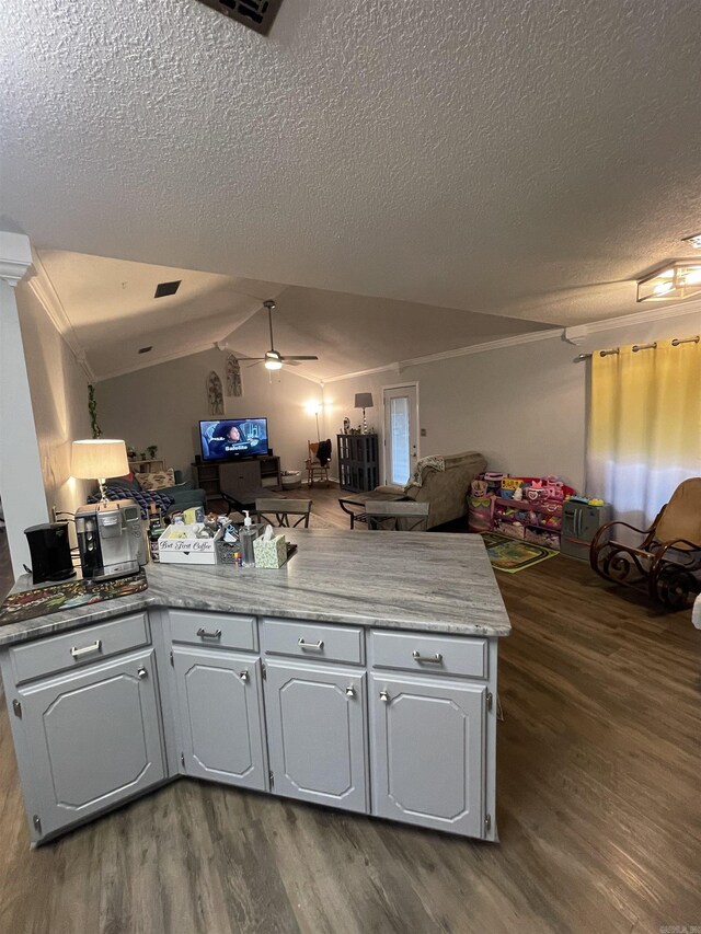 kitchen featuring dark wood finished floors, lofted ceiling, open floor plan, and ceiling fan