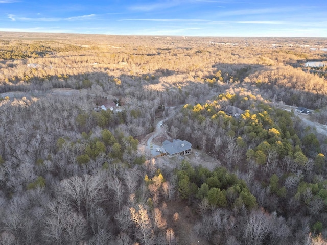 aerial view with a forest view