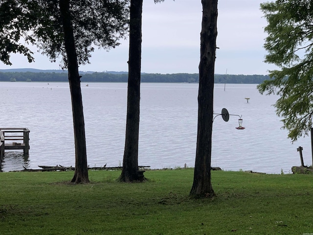 view of water feature