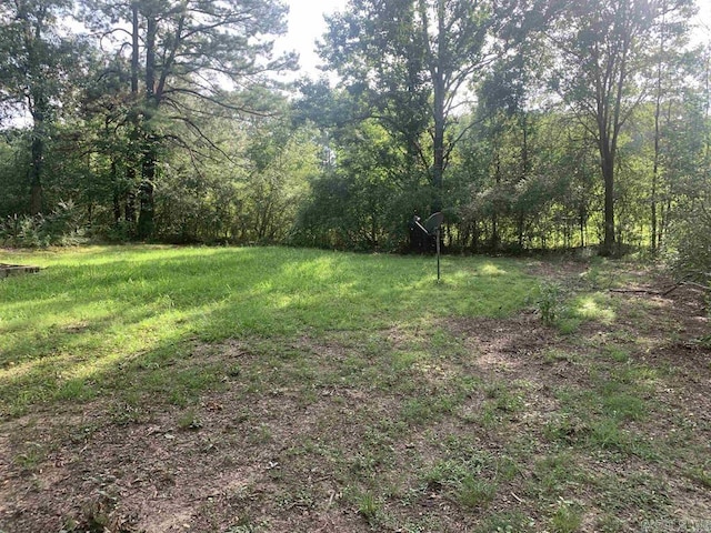 view of yard with a wooded view