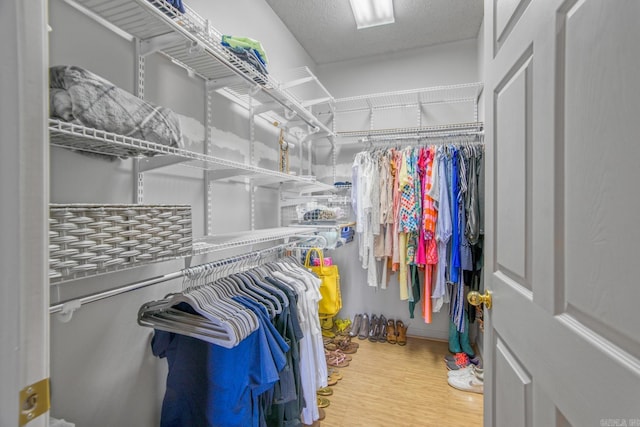 walk in closet featuring wood finished floors