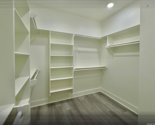 walk in closet with dark wood-style flooring