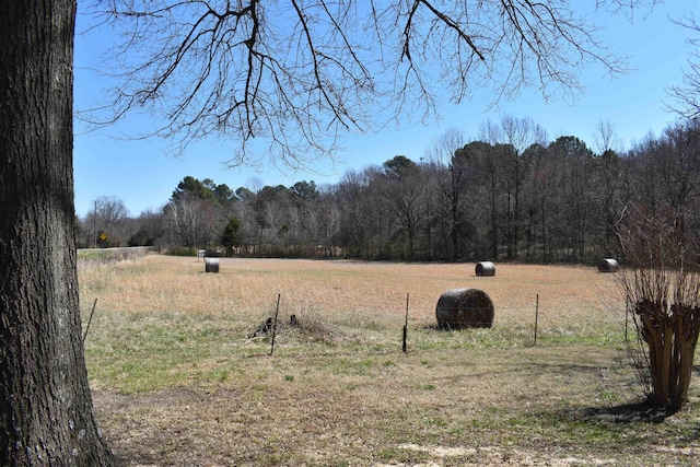 view of yard featuring a rural view and a forest view