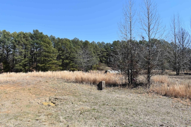 view of local wilderness