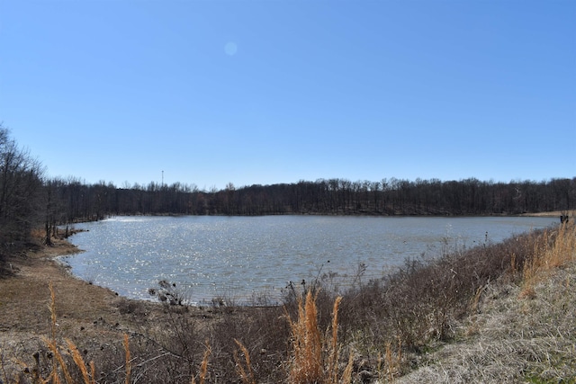 water view with a wooded view