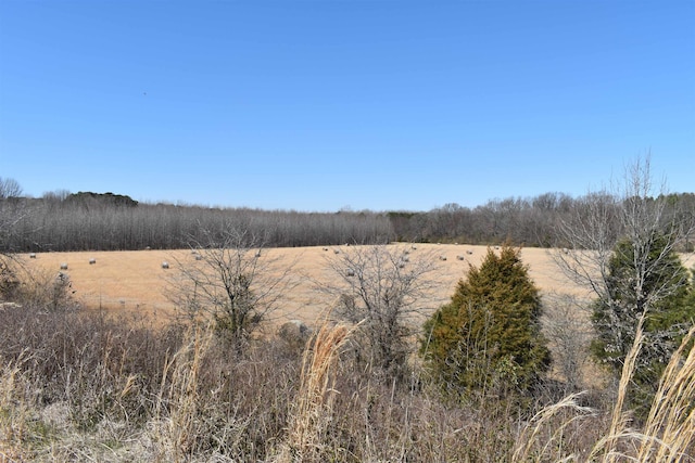 view of local wilderness featuring a rural view