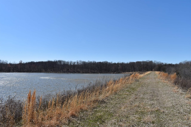 property view of water with a wooded view