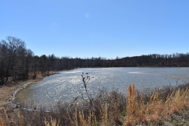 property view of water with a forest view